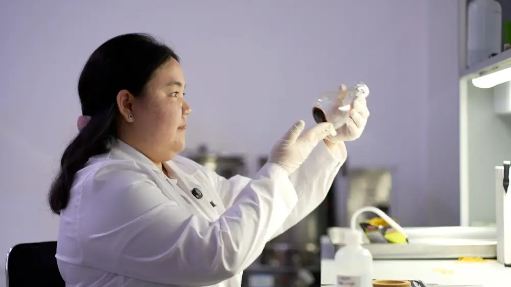 Исследование ученого из КазНУ подтвердило противодиабетические свойства цикория Актобе