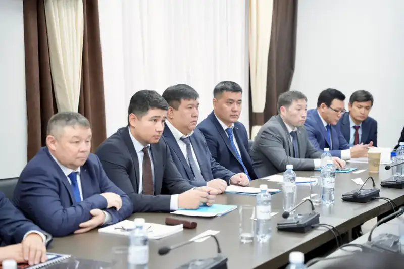 Коллегия Комитета государственного энергетического надзора и контроля: подведены итоги работы территориальных департаментов (2)