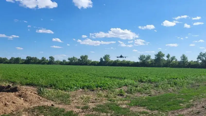 AgroSky: Инновационные технологии дронов и ИИ в Караганде изменяют подход к сельскому хозяйству, снижая затраты фермеров Актобе