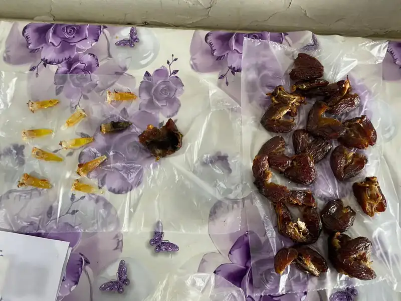 Обнаружение запрещённых предметов в учреждениях УИС: работа Национальной гвардии в борьбе с преступностью Актобе