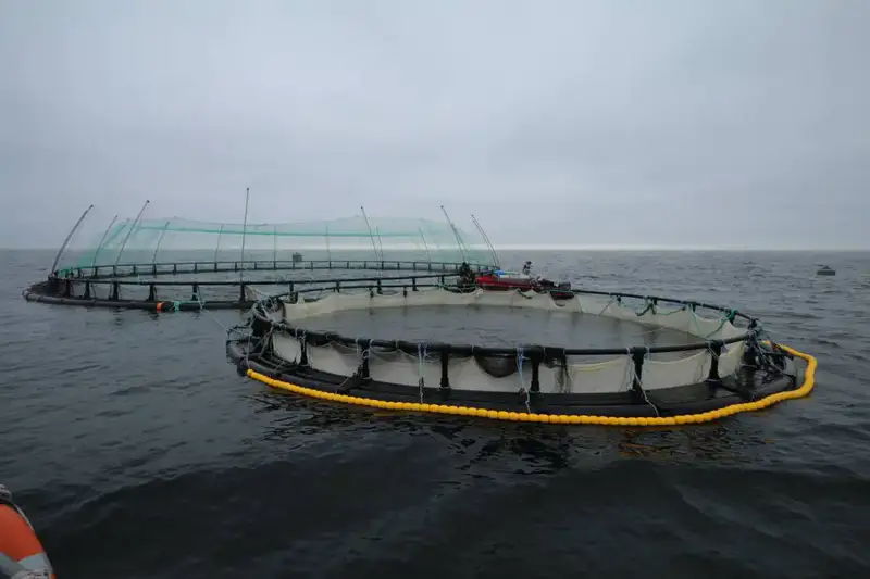 В Мангистау реализуется первый в Центральной Азии проект морской аквакультуры (3)