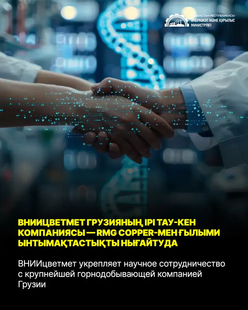 ВНИИцветмет и RMG Group: Новые горизонты в переработке медных и полиметаллических руд в Грузии Актобе
