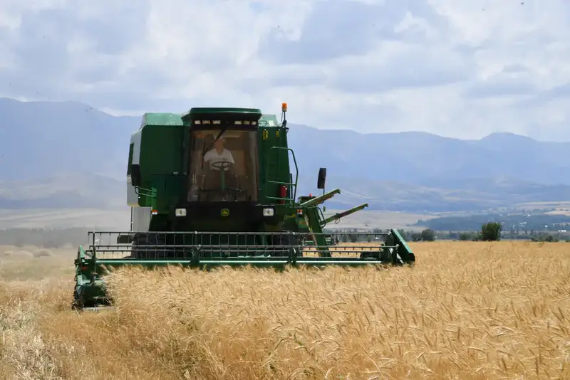Туркестанская область достигла рекорда в агропромышленном комплексе, перевыполнив объем сельхозпродукции на 1,1 трлн тенге Актобе