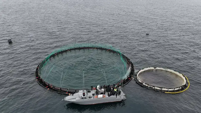В Мангистау реализуется первый в Центральной Азии проект морской аквакультуры (4)