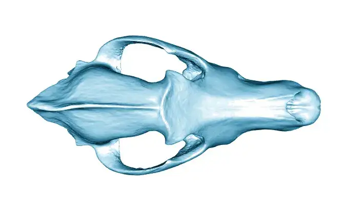 КАЗАХСТАНСКИЕ УЧЕНЫЕ СТАЛИ АВТОРАМИ МИРОВОГО НАУЧНОГО ОТКРЫТИЯ (3)