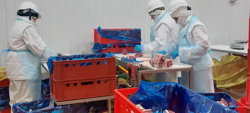 Еще 4 казахстанских предприятия включены в Реестр импортеров ОАЭ (5)