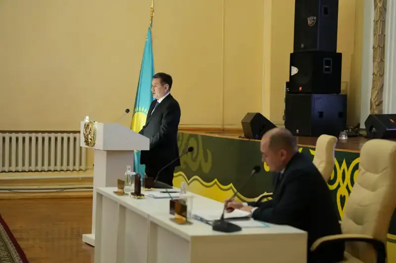 Более 120 млрд. тенге инвестиций планируется привлечь в район Алтай до 2029 года (3)