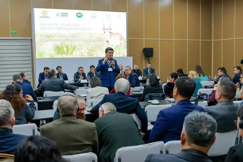 CITES утвердила снятие нулевой экспортной квоты на рога сайгака из Казахстана (4)