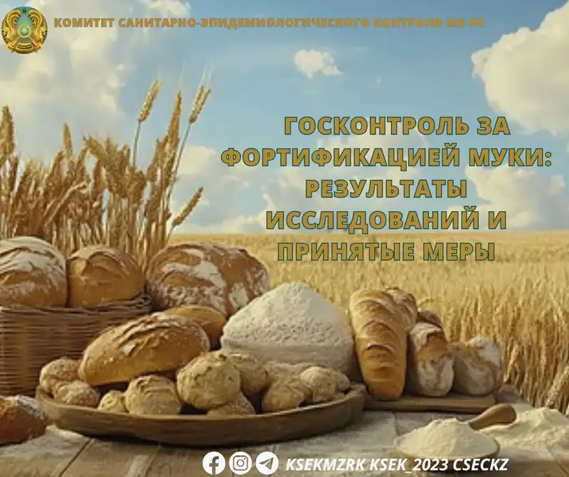 Фортификация муки результаты исследований нарушения норм и меры контроля Актобе