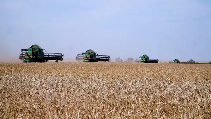 Рост урожайности зерновых в Акмолинской области способствует развитию сельского хозяйства и увеличению площадей масличных культур Актобе