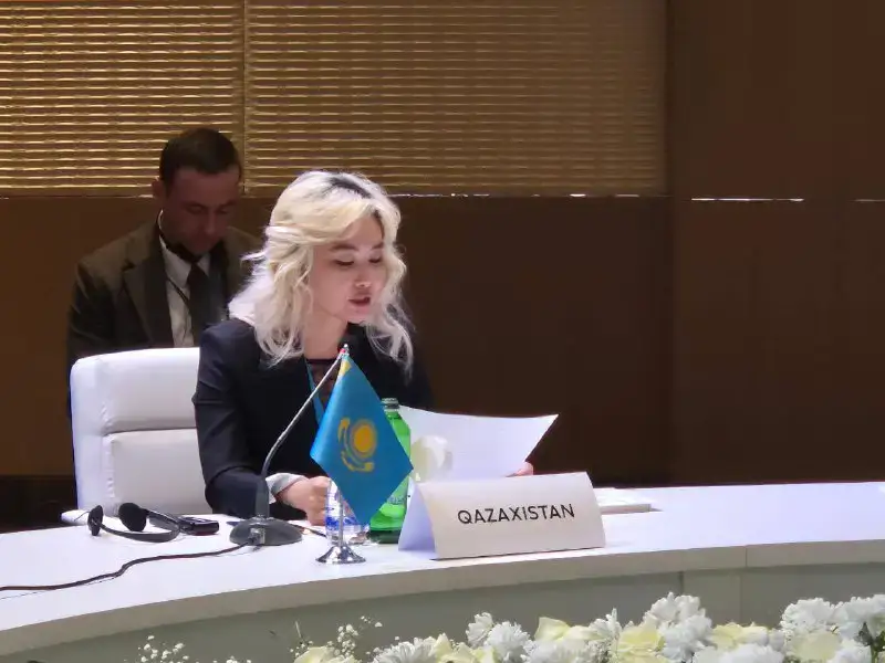 Казахстан удивил новыми решениями на встрече ОТГ Актобе