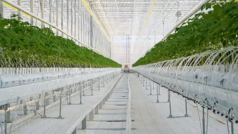 ХОД РЕАЛИЗАЦИИ АГРОПРОМЫШЛЕННЫХ ПРОЕКТОВ В ТУРКЕСТАНСКОЙ ОБЛАСТИ НАХОДИТСЯ ПОД ПРИСТАЛЬНЫМ ВНИМАНИЕМ Актобе