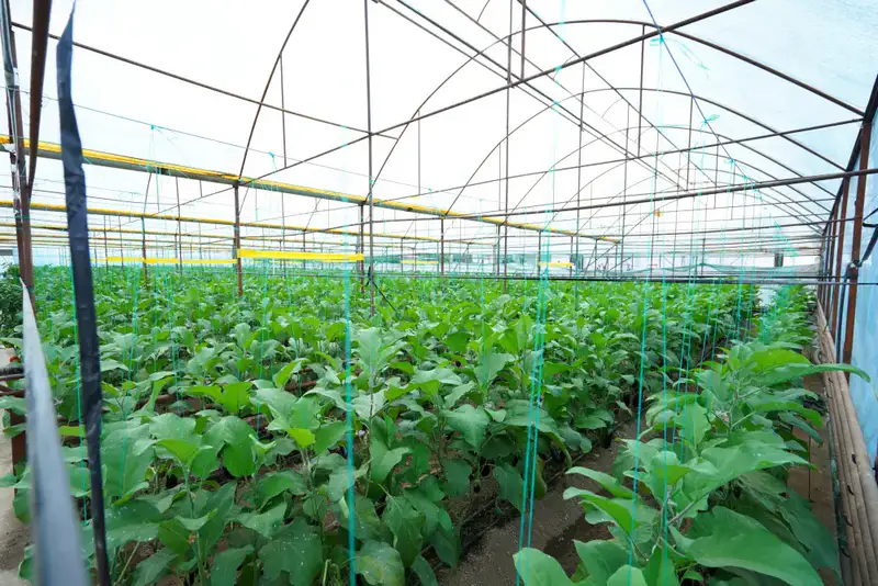 В РАЙОНАХ И ГОРОДАХ ТУРКЕСТАНСКОЙ ОБЛАСТИ СОЗДАЮТСЯ МАЛЫЕ ПРОИЗВОДСТВЕННЫЕ ПАРКИ И ПЛОЩАДКИ С НОВЫМИ РАБОЧИМИ МЕСТАМИ (4)