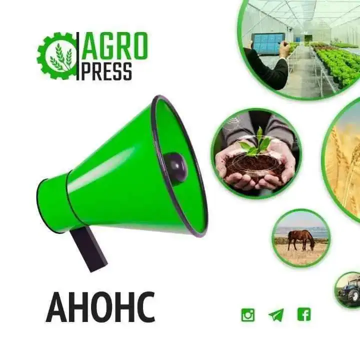 Обсуждение мер по развитию агропромышленного комплекса региона на встрече с населением Акмолинской области Актобе