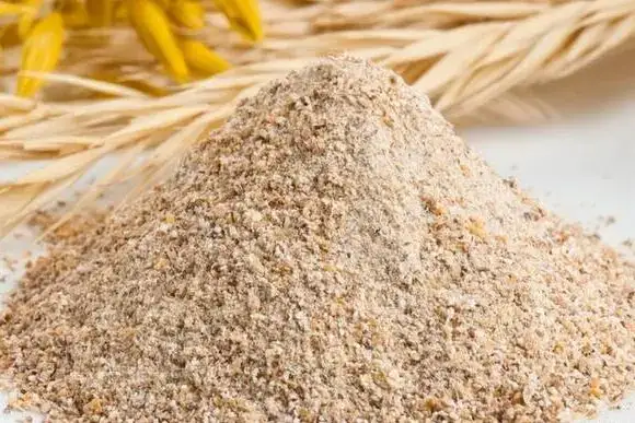 Экспорт кормовой муки в Китай Продкорпорация и Shandong Hi-Speed Logistics Group Актобе