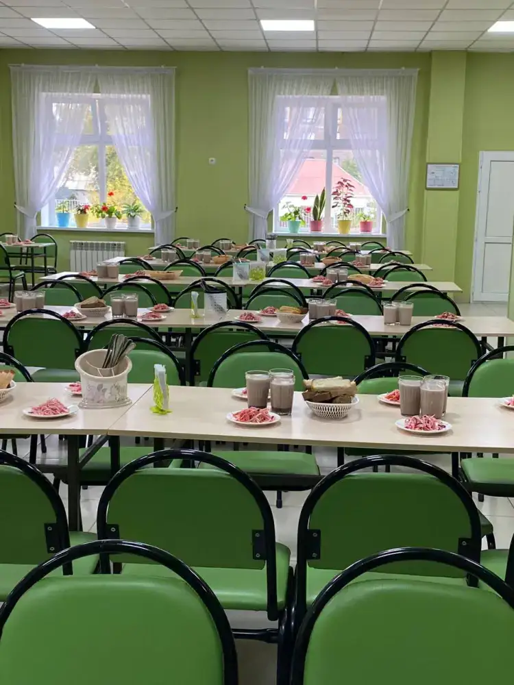 Новый порядок санитарного контроля в детских организациях Казахстана: что это значит для безопасности детей? Актобе