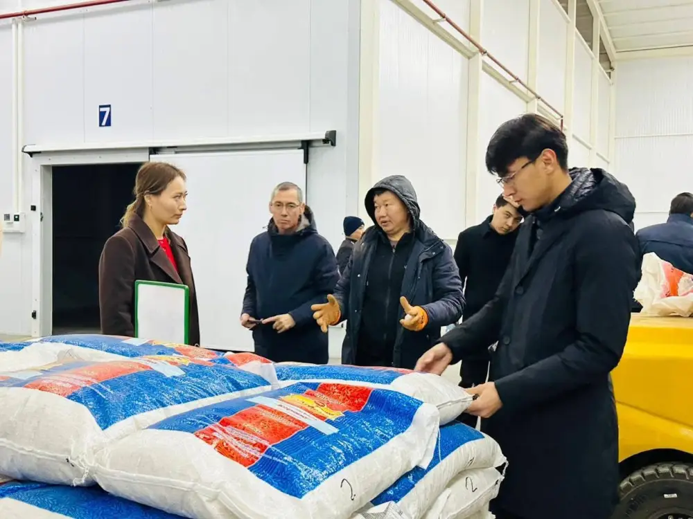 Производственный парк в Туркестанской области 100 га 30 заводов 6040 рабочих мест Актобе