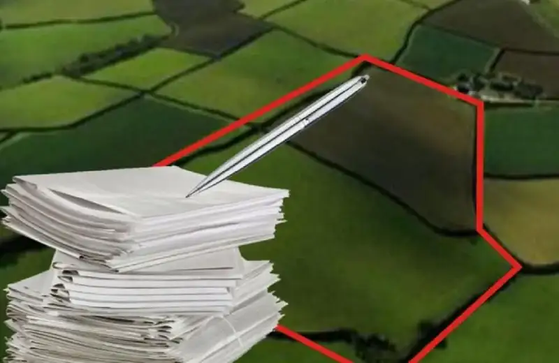 Земельный шахрай: в Абайской области раскрыто незаконное использование госучастка Актобе