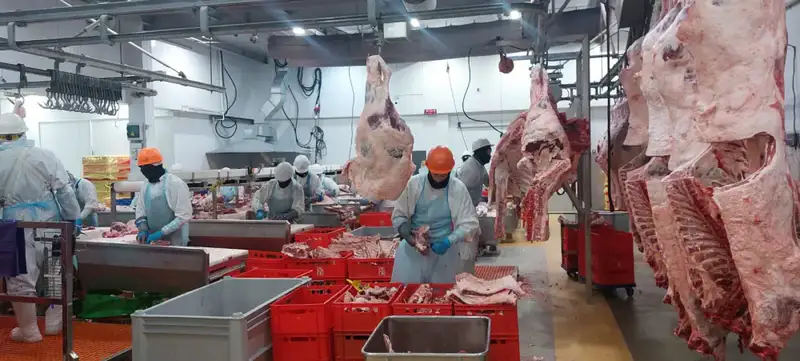 Расширение Реестра импортеров ОАЭ: Казахстанские предприятия соответствуют международным стандартам Актобе