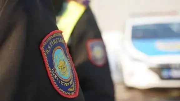В Астане полиция зафиксировала более 3,3 тысячи случаев вандализма с начала года Актобе