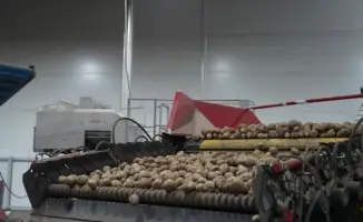 Казахстан: Прогноз роста производства лука репчатого до 1 062 600 тонн к 2025 году