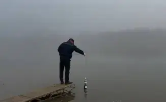 Экологическая инспекция выявила 2540 нарушений за 10 месяцев 2025 года