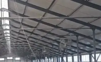 Запуск новой молочно-товарной фермы в Павлодарской области: первая партия племенных телок из Дании