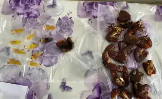 Обнаружение запрещённых предметов в учреждениях УИС: работа Национальной гвардии в борьбе с преступностью