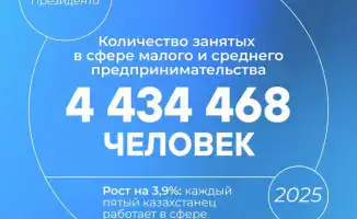 Бизнес в Казахстане: каждый пятый трудится в сфере