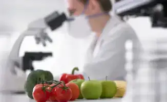 Фитосанитарный контроль: новый рецепт продовольственной безопасности?