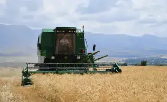 Туркестанская область достигла рекорда в агропромышленном комплексе, перевыполнив объем сельхозпродукции на 1,1 трлн тенге