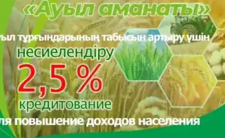 Онлайн-платформа для получения льготных кредитов: доступность финансовой поддержки по программе «Ауыл аманаты»
