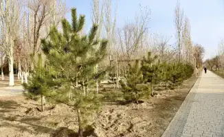 Новые зоны отдыха в нашем городе