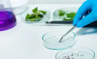 Казахстан вводит платную карантинную фитосанитарную экспертизу с 24 ноября 2025 года для улучшения контроля подкарантинной продукции
