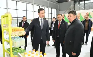 «Тумар»: малый бизнес расцветает на берегах Сырдарьи