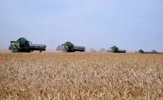 Рост урожайности зерновых в Акмолинской области способствует развитию сельского хозяйства и увеличению площадей масличных культур