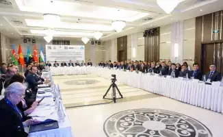 Тюркские страны: Судебная защита или права человека?