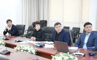 Система маркирования древесины в Казахстане: шаг к устойчивому управлению лесами и борьбе с незаконными рубками