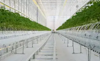 ХОД РЕАЛИЗАЦИИ АГРОПРОМЫШЛЕННЫХ ПРОЕКТОВ В ТУРКЕСТАНСКОЙ ОБЛАСТИ НАХОДИТСЯ ПОД ПРИСТАЛЬНЫМ ВНИМАНИЕМ