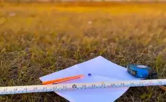 Возврат сельхозземель в госсобственность в Казахстане: случай нецелевого использования