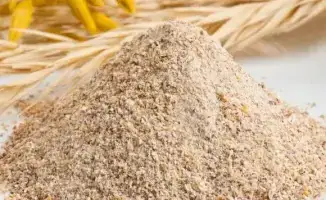 Экспорт кормовой муки в Китай Продкорпорация и Shandong Hi-Speed Logistics Group