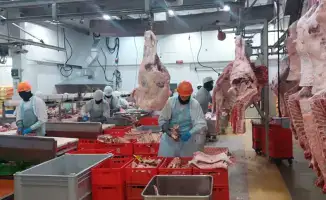 Расширение Реестра импортеров ОАЭ: Казахстанские предприятия соответствуют международным стандартам