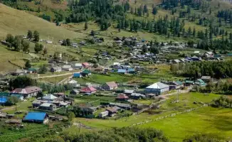 Туркестан: 66 сел без алкоголя — как это возможно?