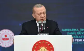 Эрдоган призывает к миру в Черном море после встречи с Путиным
