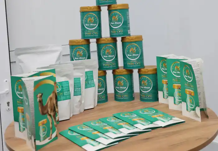 В Жанаозене открылся цех по производству сухого верблюжьего молока (7)