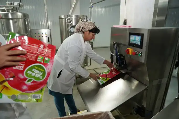 Запуск завода по переработке фруктов и ягод в Туркестанской области: новый этап в развитии местного агропромышленного комплекса Актобе