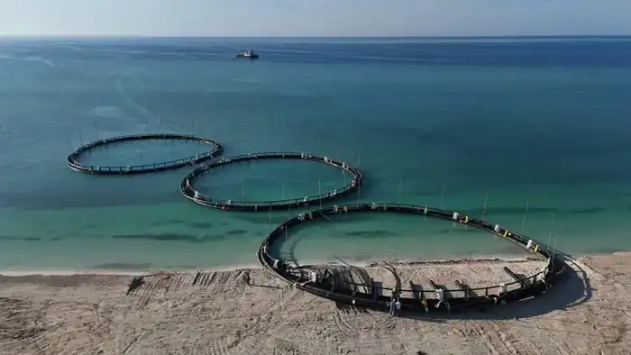 Рост производства рыбной продукции в Казахстане на 10% за 11 месяцев 2025 года Актобе