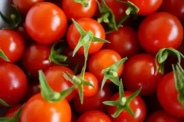 Факт ввоза зараженной подкарантинной продукции выявлен в аэропорту Астаны Актобе