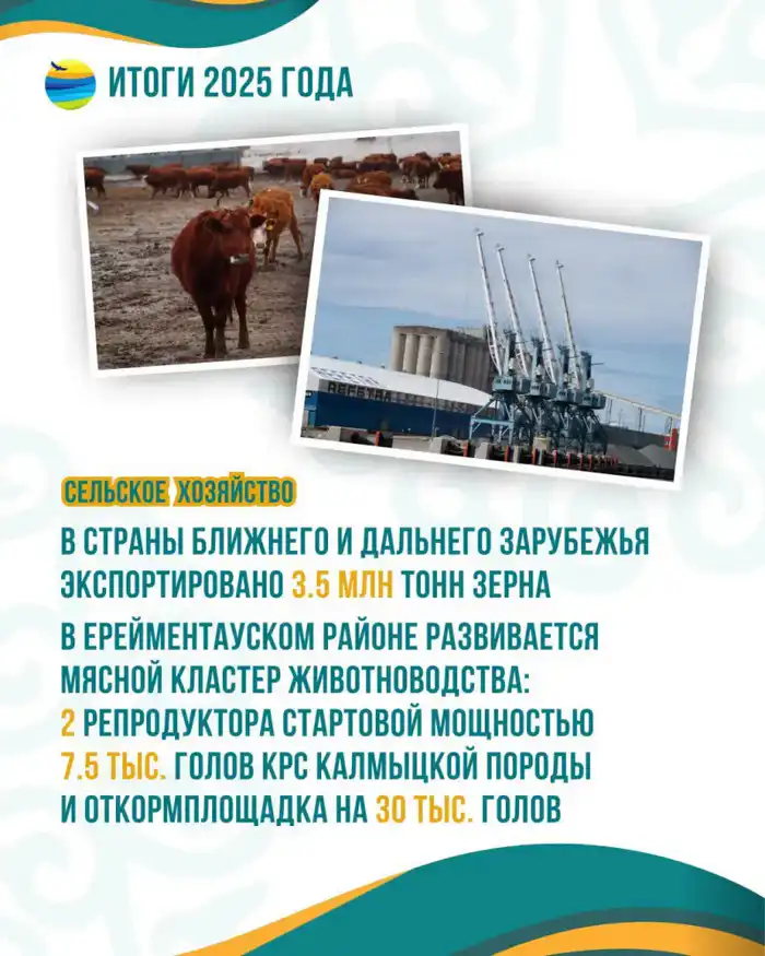 Рекордный урожай и льготные кредиты: Акмолинская область укрепляет аграрные позиции в стране Актобе