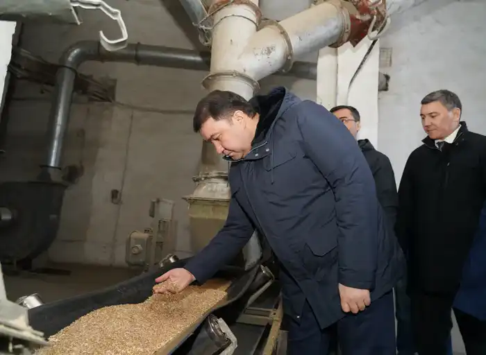 В ТУРКЕСТАНСКОЙ ОБЛАСТИ МОДЕРНИЗИРОВАН И ЗАПУЩЕН СОВРЕМЕННЫЙ ЗАВОД ПО ПЕРЕРАБОТКЕ ПШЕНИЦЫ (4)